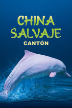 Imagen de China Salvaje: Cantón  - 1