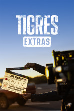 Imagen de Los Tigres (Extras) (T1): 4 películas en 1 - 1