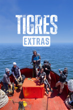 Imagen de Los Tigres (Extras) (T1): La mar - 1