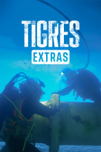 Imagen de Los Tigres (Extras) (T1): Bajo el agua - 1