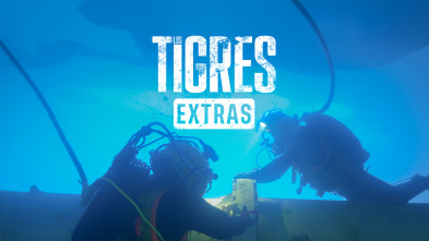 Imagen de Los Tigres (Extras) (T1): Bajo el agua - 2