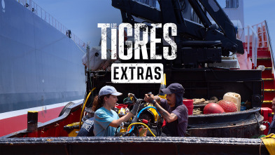 Imagen de Los Tigres (Extras) (T1): Cinema Verité - 2