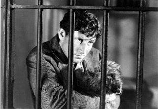 Imagen de Furia - 10