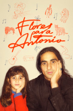 Imagen de Flores para Antonio - 1