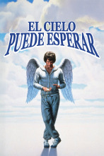 Imagen de El cielo puede esperar - 1