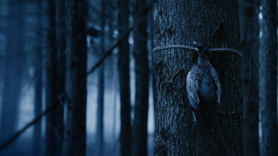 Imagen de Bambi: la venganza - 3