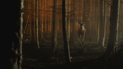 Imagen de Bambi: la venganza - 5