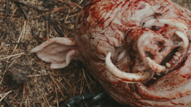 Imagen de El retorno de Piglet - 3