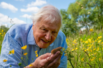 Imagen de Londres salvaje - 4