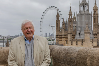 Imagen de Londres salvaje - 8