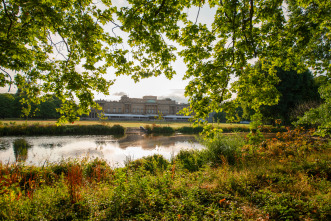 Imagen de Londres salvaje - 14