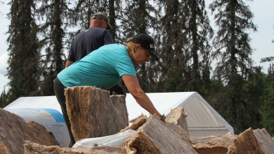 Imagen de Construyendo Alaska (T11): Sobrecarga - 2