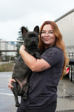 Imagen de Camioneros de Alemania: Ep.9 - 1