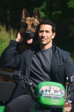 Imagen de Hudson y Rex (T8): Ep.5 Resistencia Máxima Terranova - 1