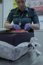 Imagen de Control de fronteras: España: Ep.3 - 1