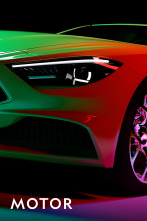 Imagen de Motor  - 1