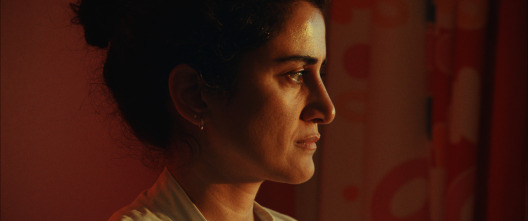 Imagen de La otra víctima - 14