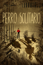 Imagen de Perro solitario - 1