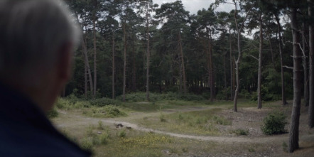 Imagen de La guerra de los mundos: una novela profética - 10