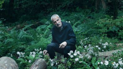 Imagen de Anémona - 4