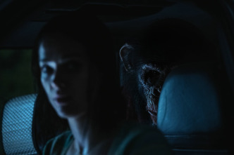 Imagen de Primate - 9