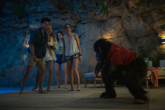 Imagen de Primate - 10