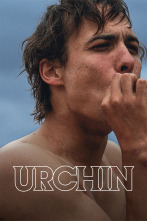Imagen de (LSE) - Urchin - 1