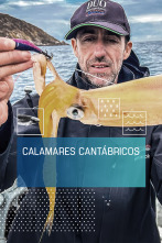 Imagen de Calamares cantábricos - 1