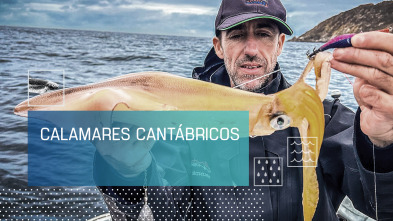 Imagen de Calamares cantábricos - 2