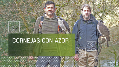 Imagen de Cornejas con azor - 2
