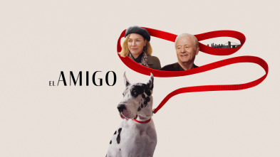 Imagen de El amigo - 2