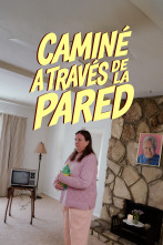 Imagen de Caminé a través de la pared - 1