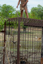 Imagen de Aventura en... (T1): Enjaulado y enfurecido - 1