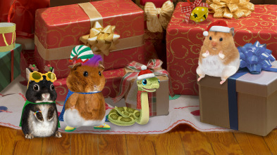 Imagen de Wonder Pets en la... (T2): Ayudan al hámster navideño / Salvan al pequeño muñeco de nieve - 2