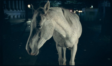 Imagen de El regalo - 4