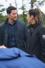 Imagen de Hudson y Rex (T8): Ep.8 A vista de pájaro - 1