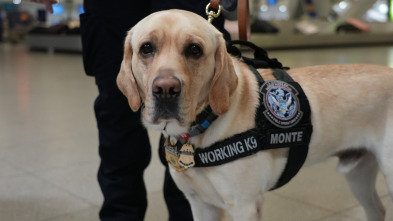 Imagen de Control de...: Autopista de alto calibre - 1