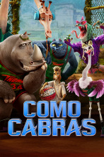 Imagen de Como cabras - 1