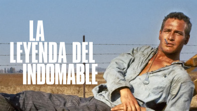 Imagen de La leyenda del indomable - 2