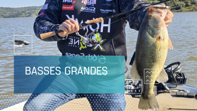 Imagen de Basses grandes - 2