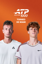 Imagen de Final: Lehecka - Sinner - 1