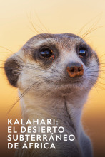 Imagen de Kalahari: El desierto subterráneo de África  - 1