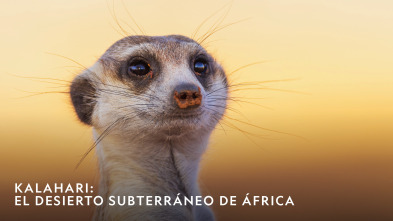 Imagen de Kalahari: El desierto subterráneo de África  - 2