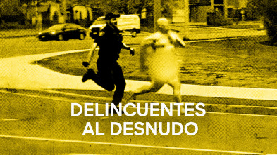 Imagen de Delincuentes al desnudo: ¡Santo Dios! - 2