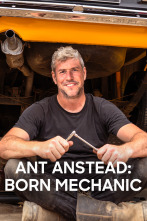 Imagen de Ant Anstead: Born Mechanic (T2) - 1