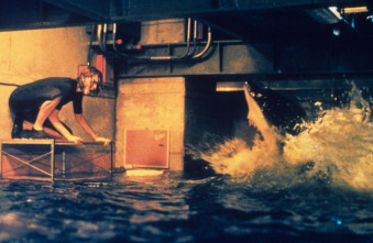 Imagen de Deep Blue Sea - 4