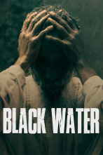 Imagen de Black Water - 1