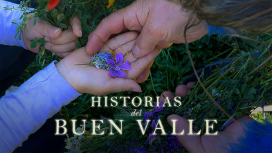 Imagen de Historias del buen valle - 2
