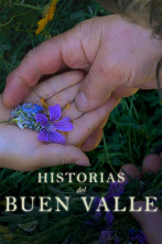 Imagen de Historias del buen valle - 1