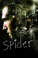 Imagen de Spider - 1